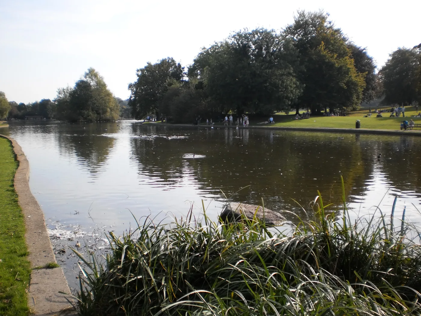 The ornamental lake in Verulamium Park, 175 acres of Green Flag parkland on the site of the Roman city, and free to walk into